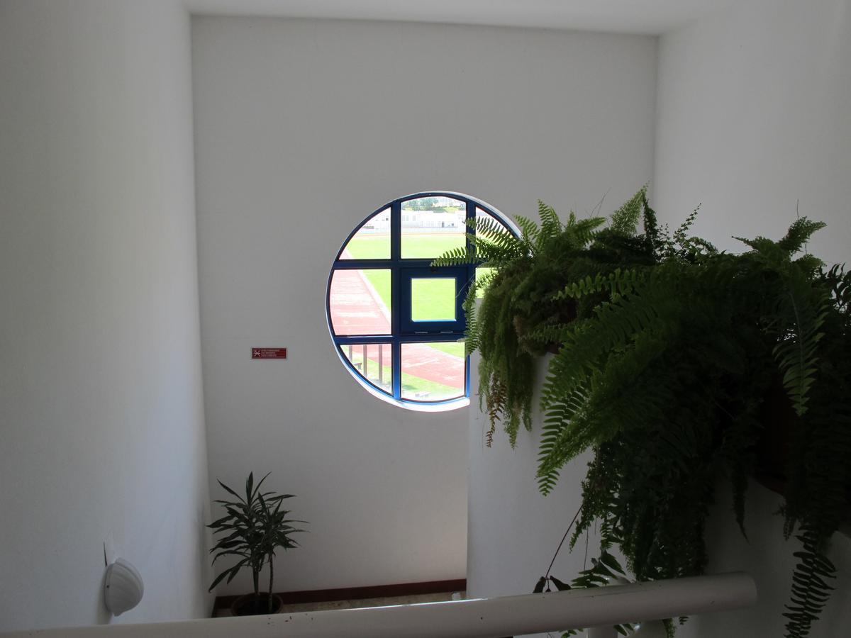 Azores Youth Hostels - Sao Miguel Ponta Delgada  Ngoại thất bức ảnh